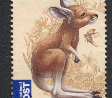 Australia-2011-Baby-Animals