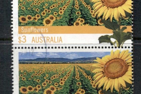 Australia-2012-Sunflowers-3-pr-FU