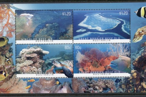 Australia-2013-Coral-Reefs