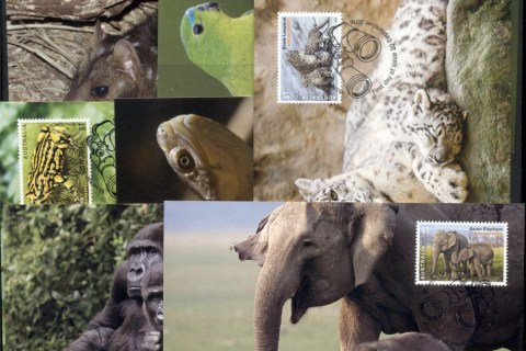 Australia-2016-Endangered-Wildlife-7x-Maxicards