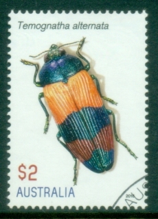 Australia-2016-Insects-Jewel-Beetles-2-FU