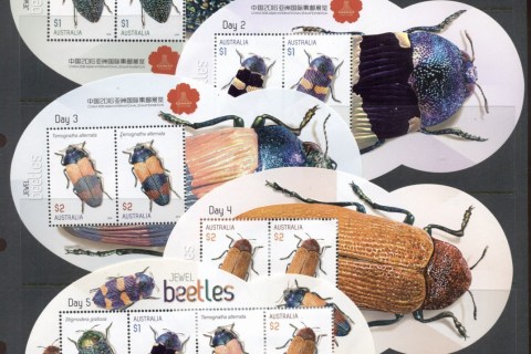 Australia-2016-Insects