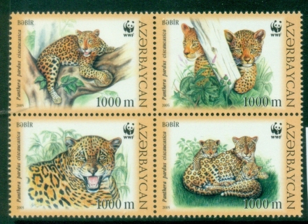 Azerbaijan-2005-WWF-Caucasus-Leopard-MUH