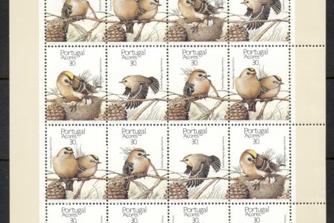 1_Azores-1989-Wildlife-Conservation