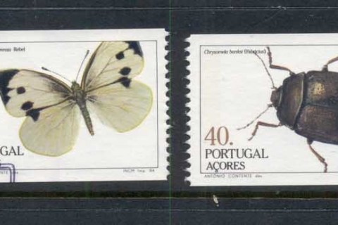 Azores-1984-Insects