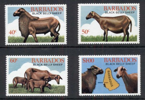 Barbados-1982-Black-Belly-Sheep-MUH