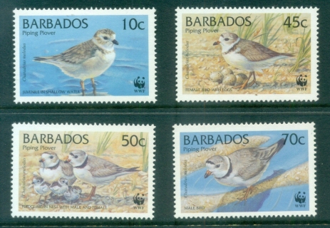 Barbados-1999-WWF-Birds