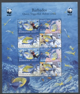 Barbados-2006-WWF-Queen-Angelfish-MS-MUH