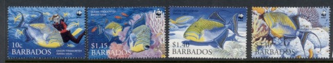 Barbados-2006-WWF-Queen-Angelfish-MUH