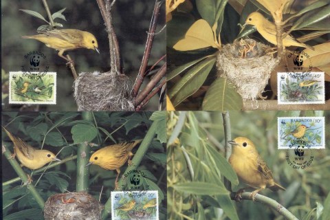 Barbados-1991-WWF-Yellow warbler, bird Maxicards