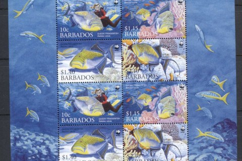 Barbados-2006-WWF Queen Triggerfish MS