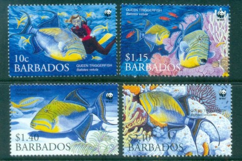 Barbados-2006-WWF Queen Triggerfish