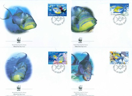 Barbados-2006 WWF Queen Triggerfish