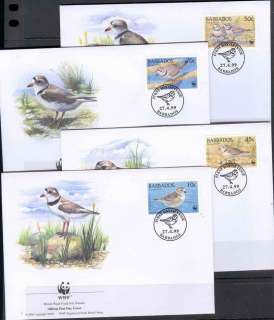 Barbados-1999 WWF Piping Plover