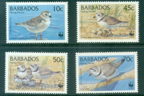 Barbados-1999-WWF-Birds