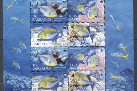 Barbados-2006-WWF-Queen-Angelfish-MS-MUH