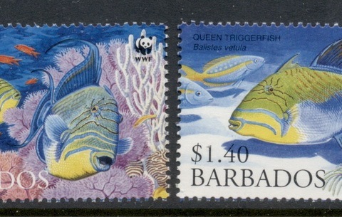 Barbados-2006-WWF-Queen-Angelfish-MUH