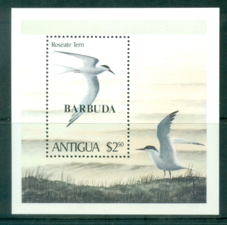 Barbuda-1980-Birds