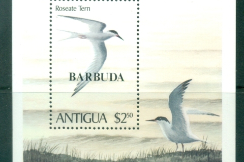 Barbuda-1980-Birds
