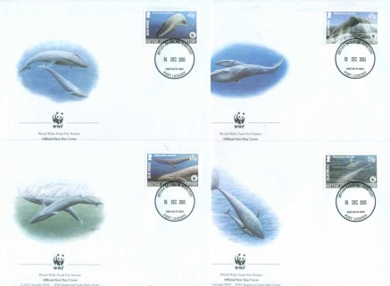 BAT 2003 WWF Blue Whale