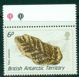 BAT-1990-Fossils-6p-Gonatosaurus-MUH