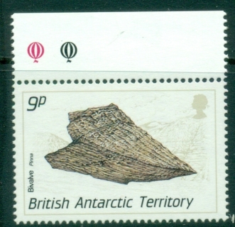 BAT-1990-Fossils-9p-Pinna-MUH