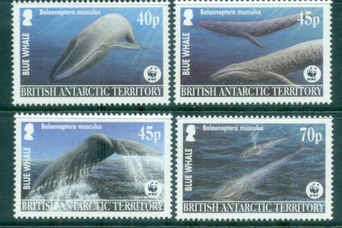 BAT 2003 WWF Blue Whale