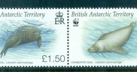 BAT 2009 WWF Crabeater Seal