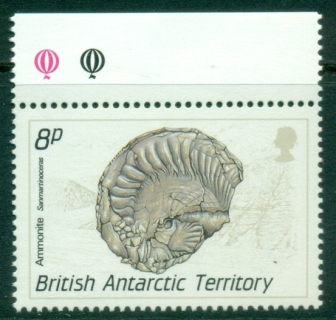 BAT-1990-Fossils-8p-Sammartinoceras-MUH