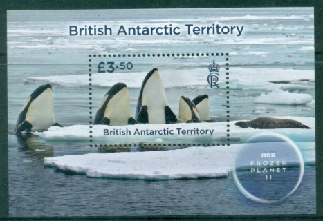 BAT-2023-Frozen-Planet-MS-MUH