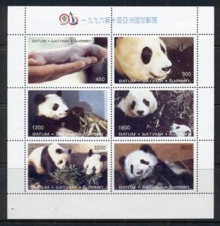 Batum-2000-c-jpg-Pandas-MS-MUH