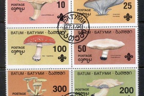 Batum-1994-Funghi-Mushrooms-blk-CTO