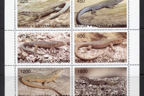 Batum-1999-Reptiles-MS-MUH