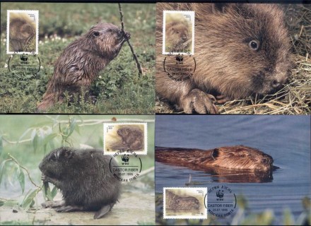 Belarus 1995 WWF European Beaver Maxicards