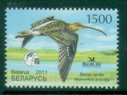Belarus-2011-Bird-of-the-Year-Eurasian-Curlew-MUH