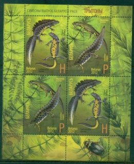 Belarus-2012-Newts-Joint-Issue-with-Russia-MS-MUH
