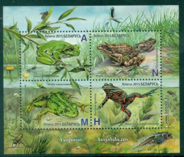 Belarus-2015-Fauna-Amphibians-MS-MUH