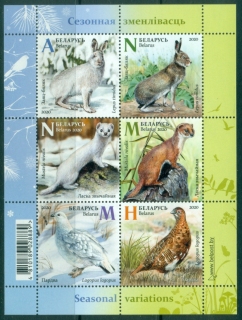 Belarus-2020-Seasonal-Variations-Fauna-Birds-MS-MUH