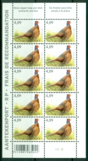 Belgium-2010-Birds-Ring-Necked-Pheasant-sheetlet-MUH