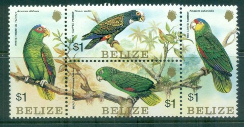 Belize-1984-Birds