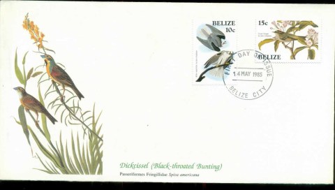 Belize-1985-Audubon-Birds