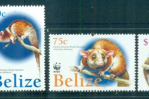 Belize-2004 WWF American Woolly Opossum