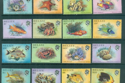 Belize-1984-88-Marine-Life