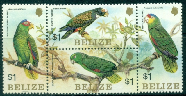 Belize-1984-Birds-Parrots-MUH