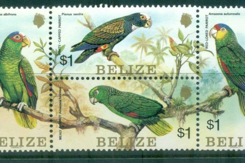 Belize-1984-Birds