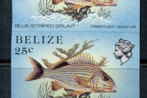 Belize-1984-Fish-25c-blue-striped-Grunter-pr-IMPERF-MUH