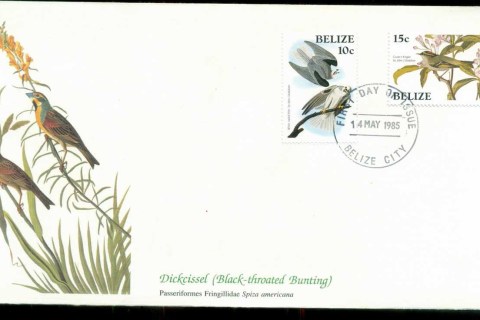 Belize-1985-Audubon-Birds