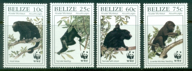 Belize-1997-WWF-Howler-Monkey-MUH