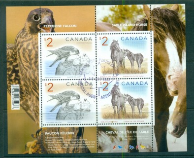 Canada-2005-2-PeregrineFfalcon