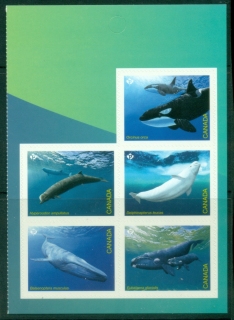Canada-2022-Marine-Life-Endangered-Whales-PS-Pane-5-MUH
